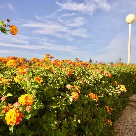 Apartment Berry - With Pool And Rooftop *