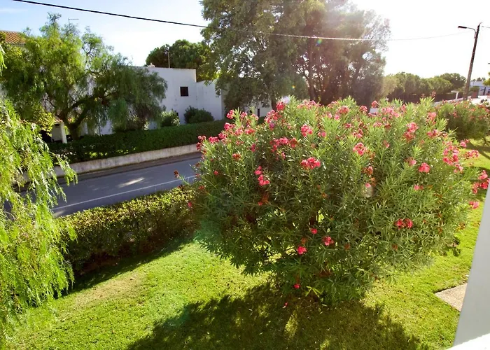 Lejlighed Berry - With Pool And Rooftop