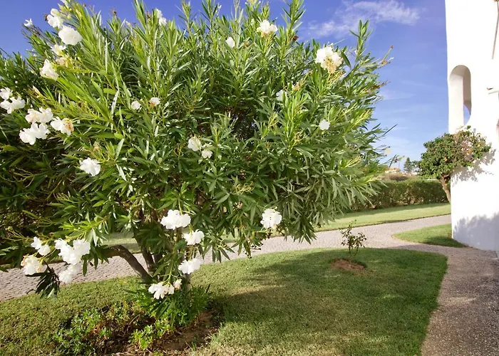 Berry - With Pool And Rooftop Lejlighed Porches (Algarve)