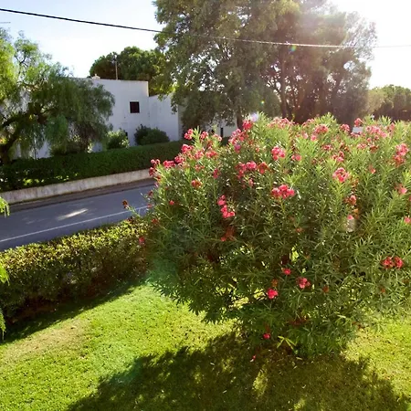 Διαμέρισμα Berry - With Pool And Rooftop